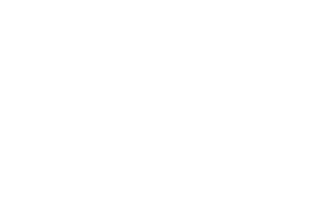 ASA Leather Work